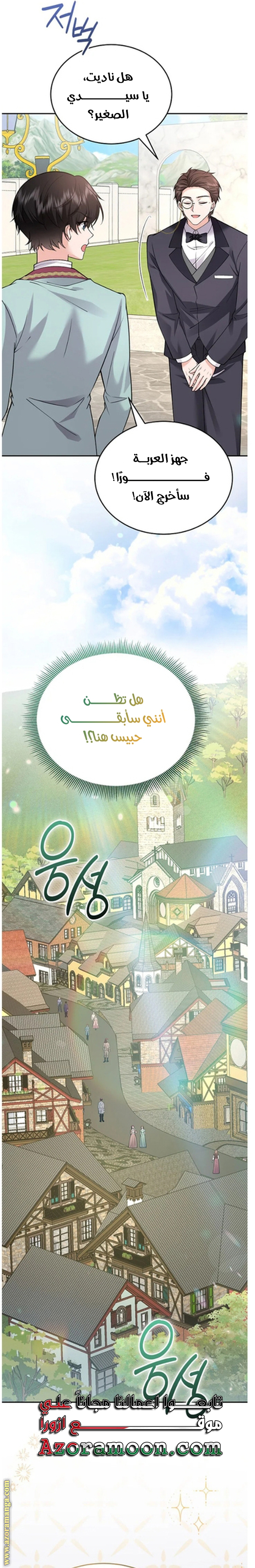 الصفحة 27