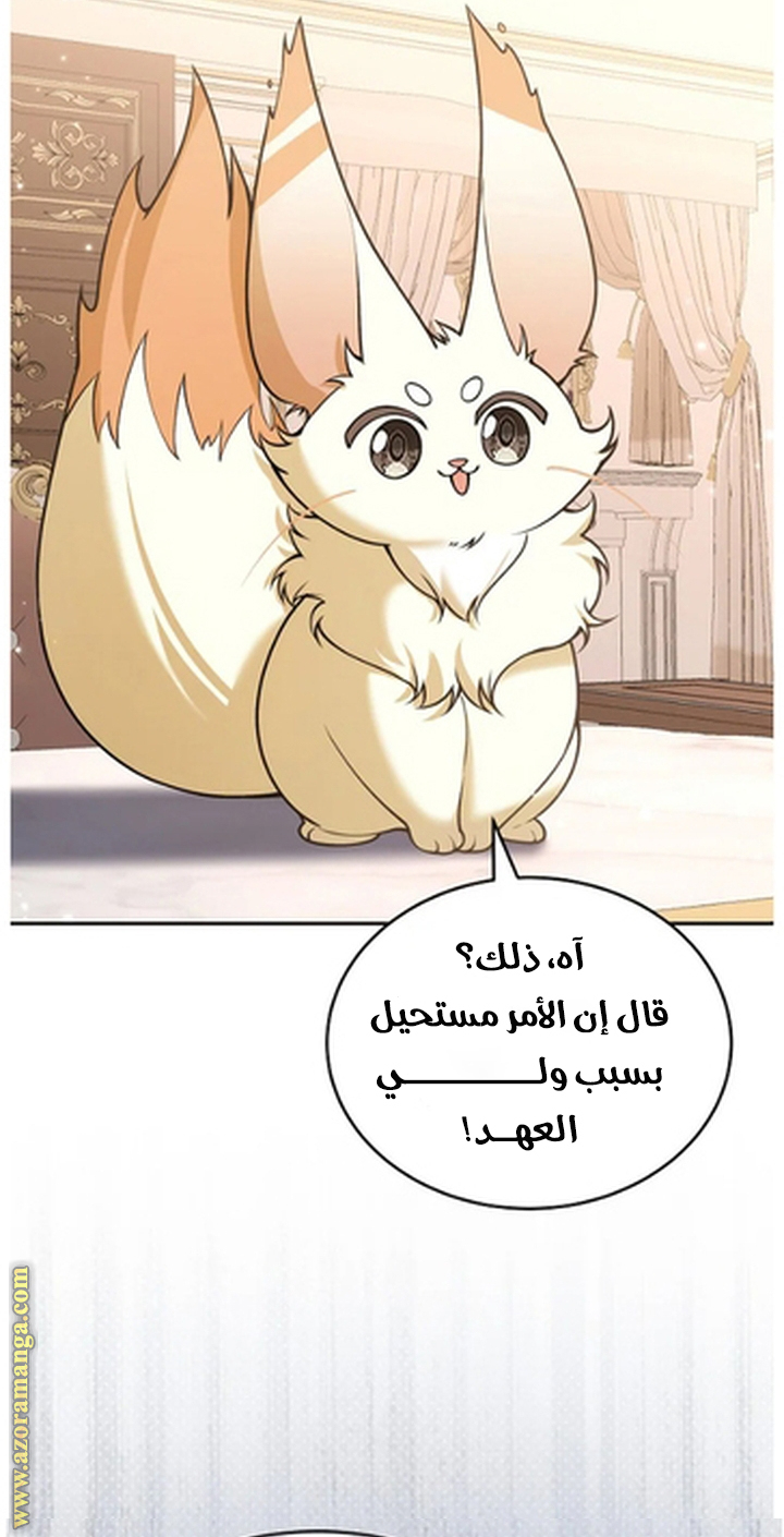 الصفحة 48