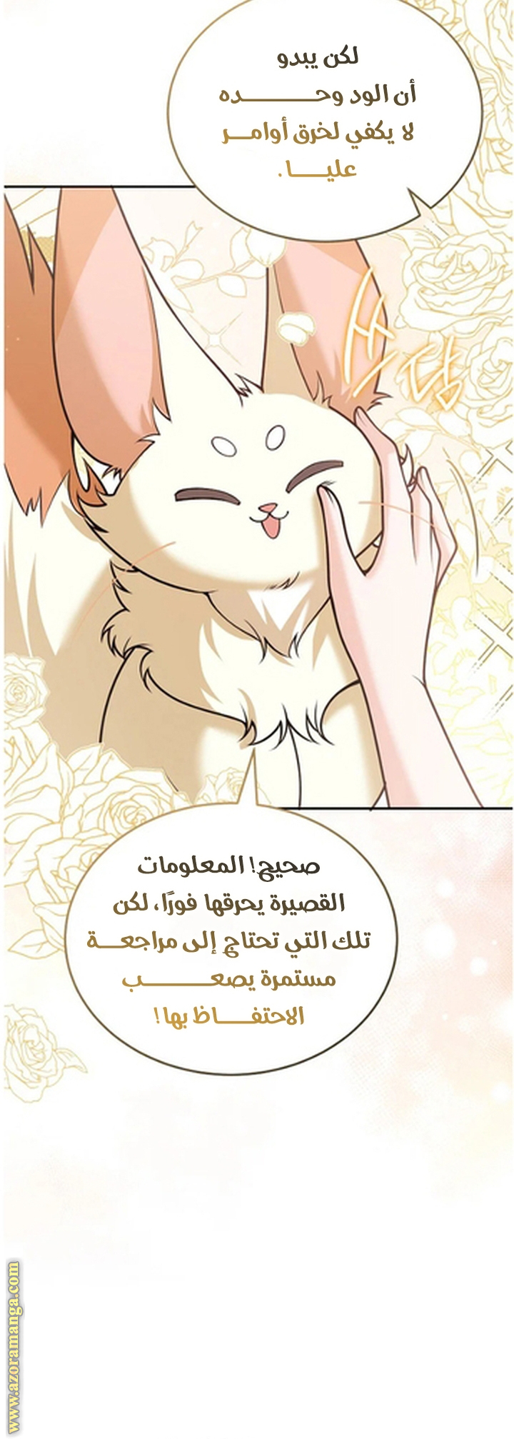 الصفحة 51