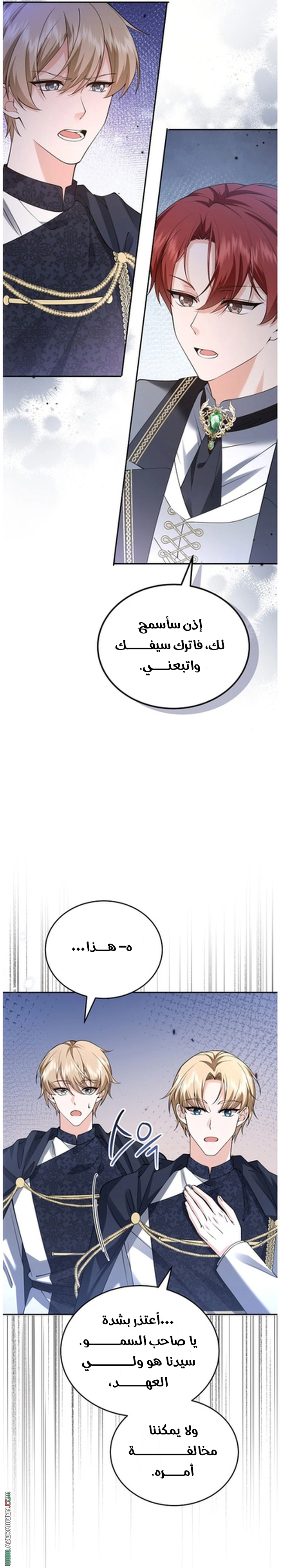 الصفحة 12