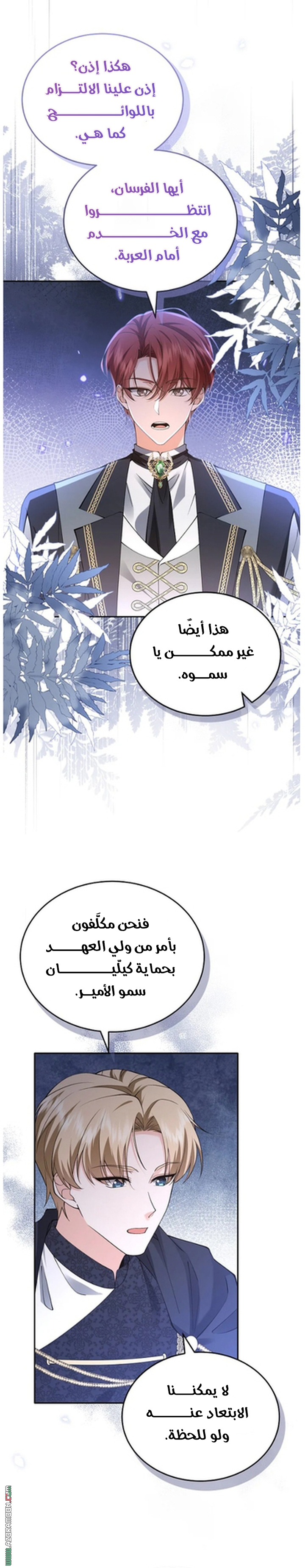 الصفحة 13