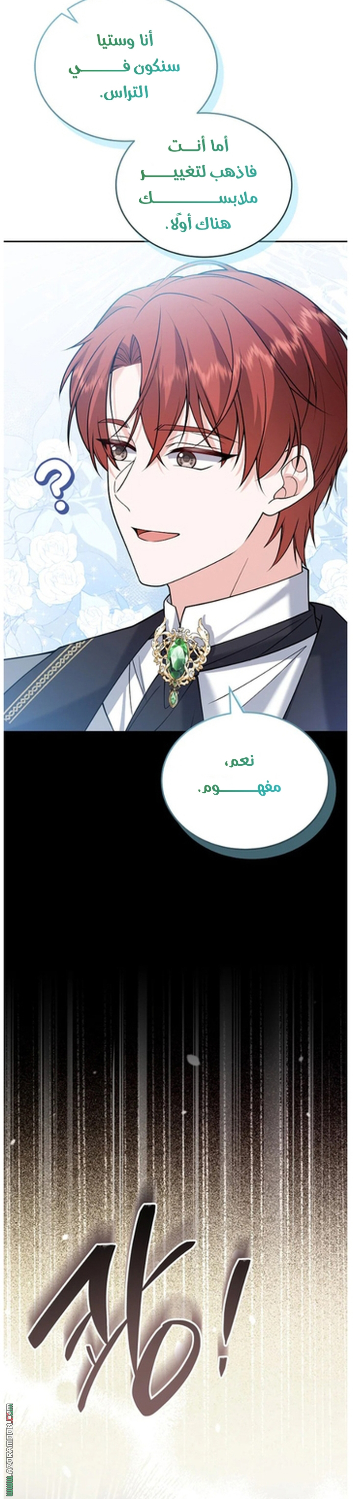 الصفحة 29