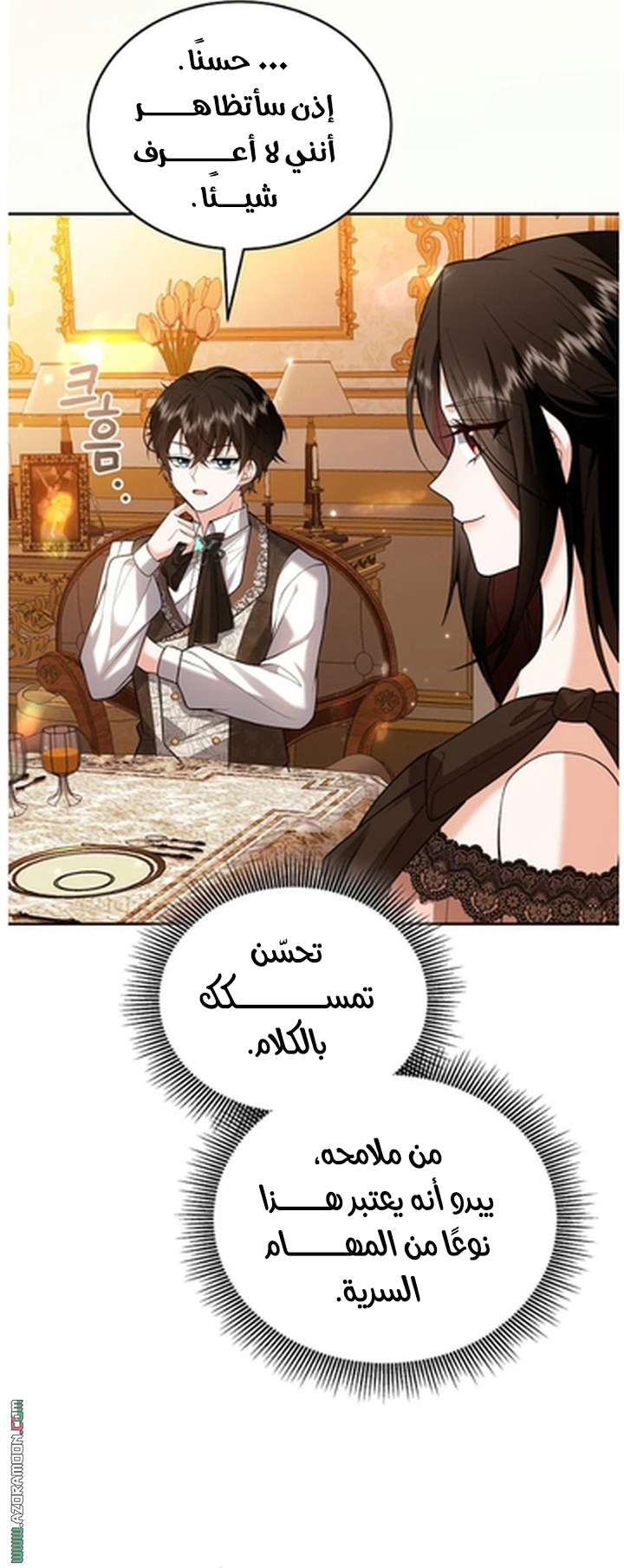 الصفحة 29