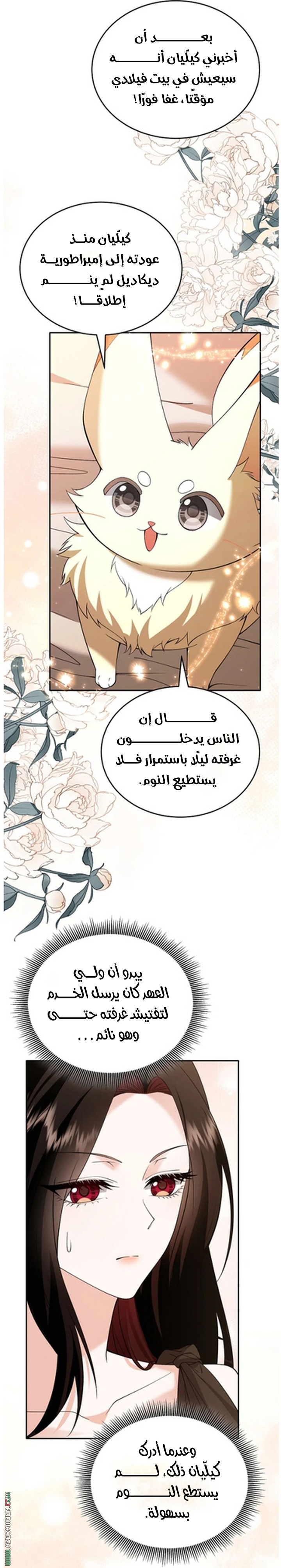 الصفحة 41
