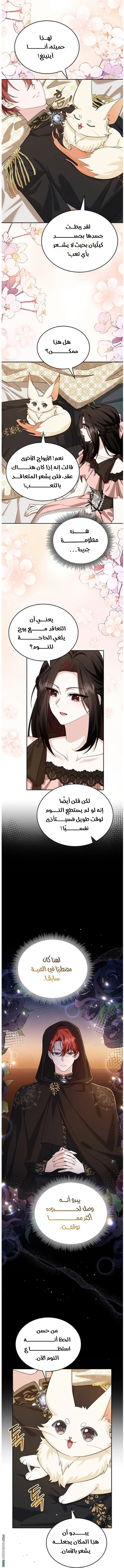 الصفحة 46