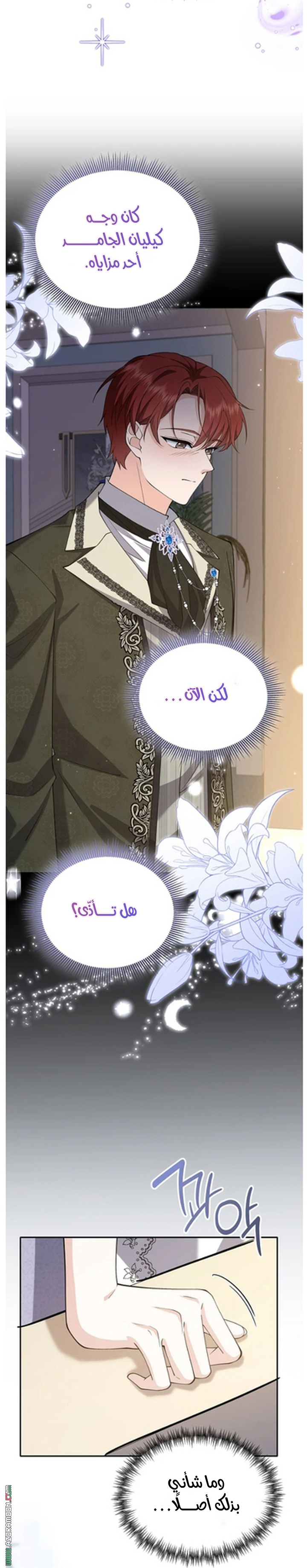 الصفحة 38