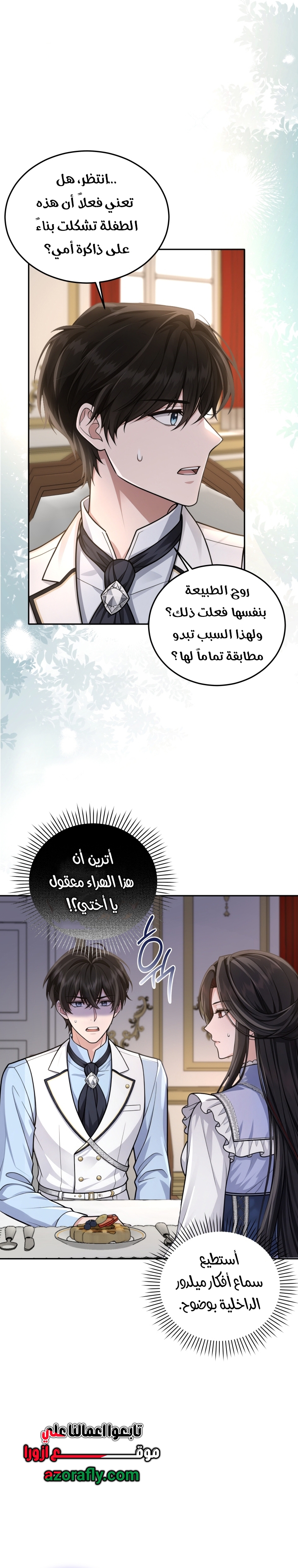 الصفحة 17