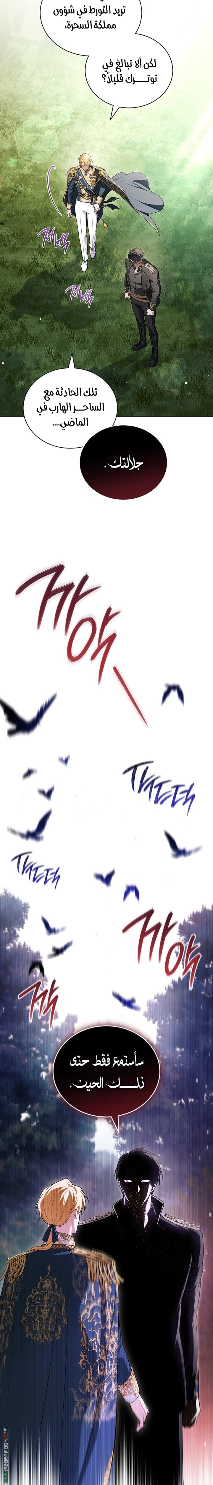 الصفحة 13