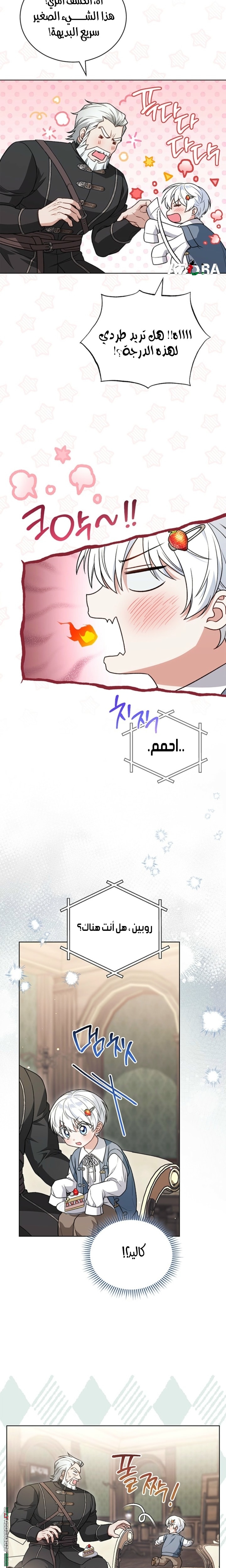 الصفحة 12