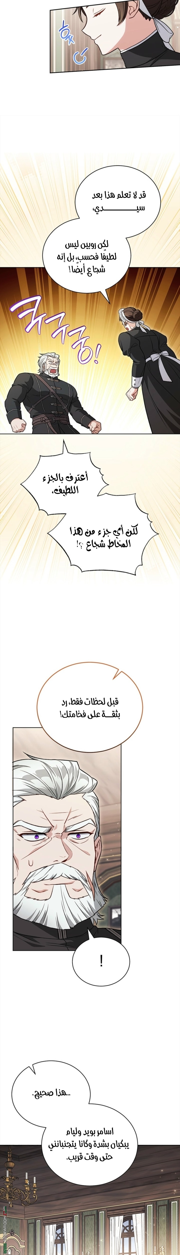الصفحة 17