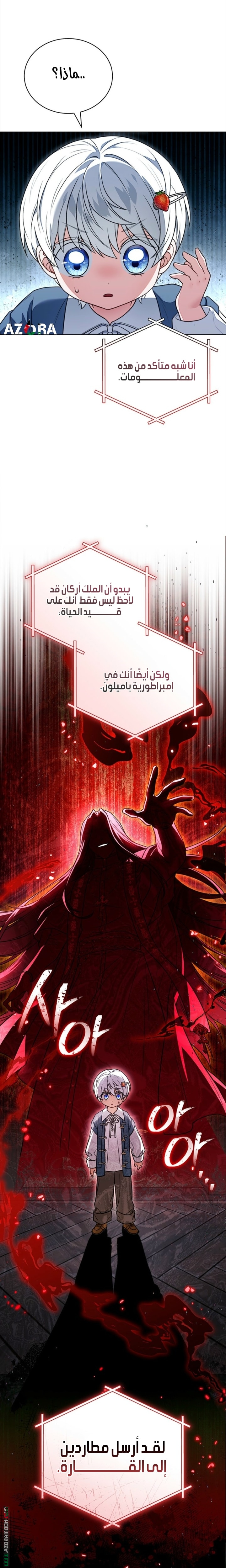 الصفحة 19