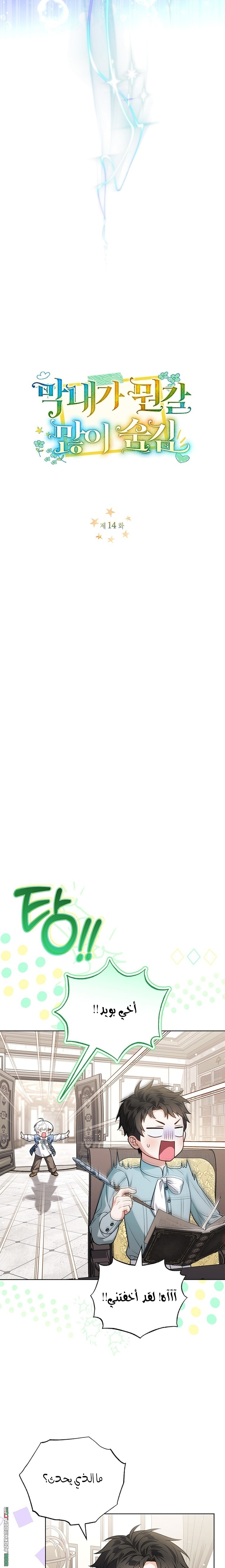 الصفحة 10