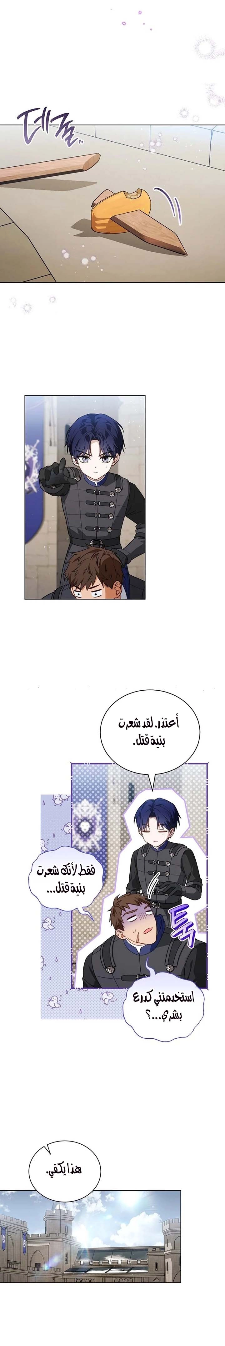 الصفحة 19