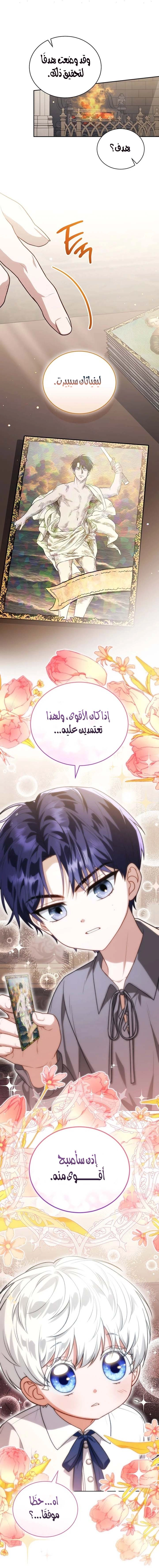 الصفحة 11