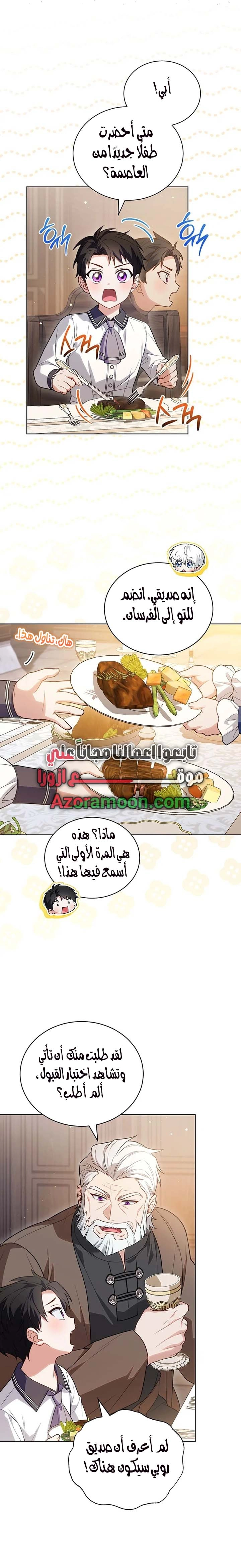 الصفحة 13