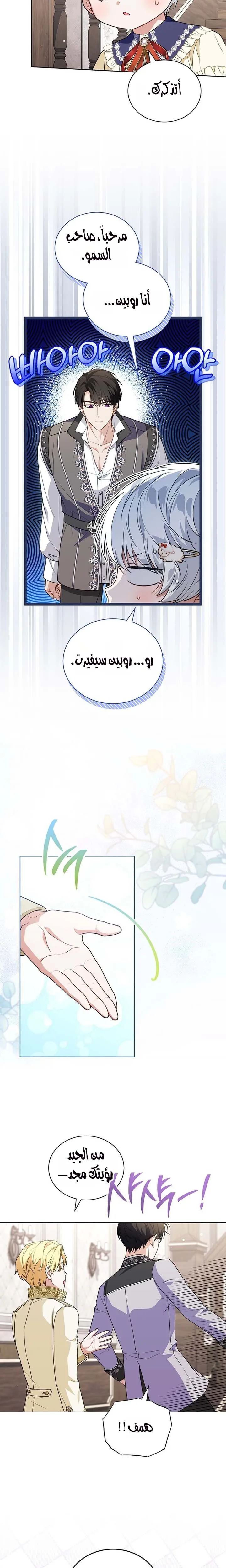 الصفحة 13