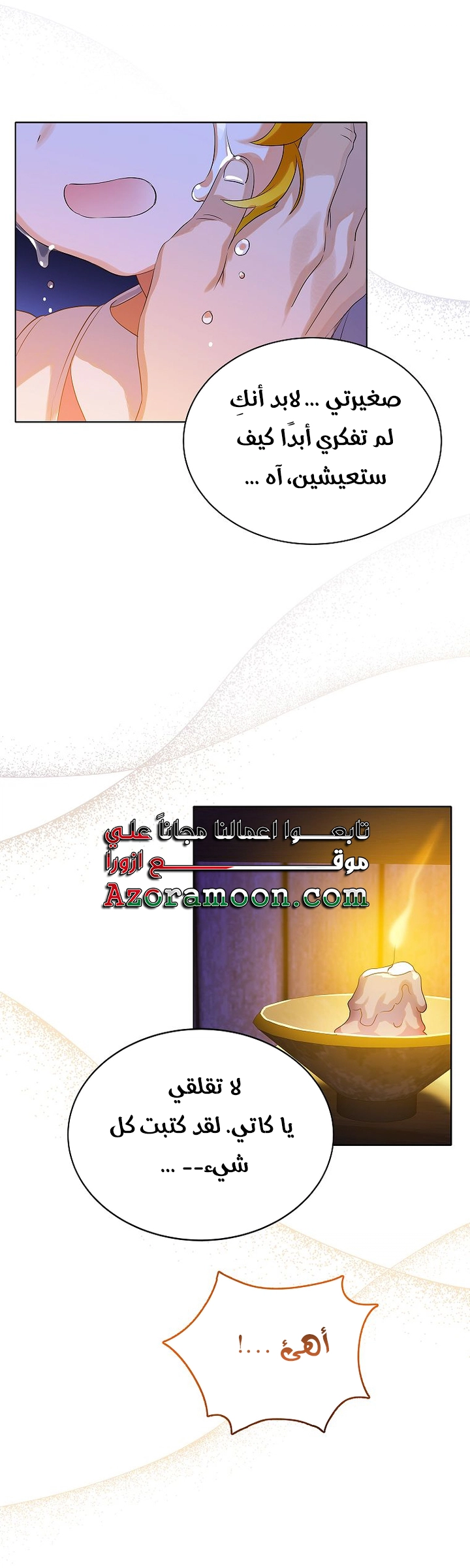 الصفحة 27