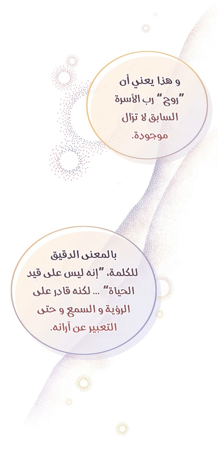 الصفحة 25