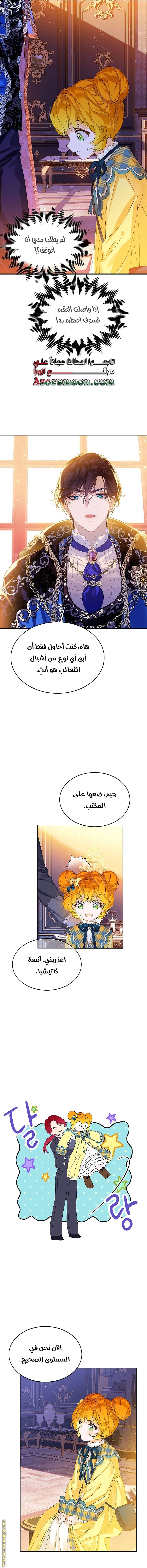 الصفحة 7
