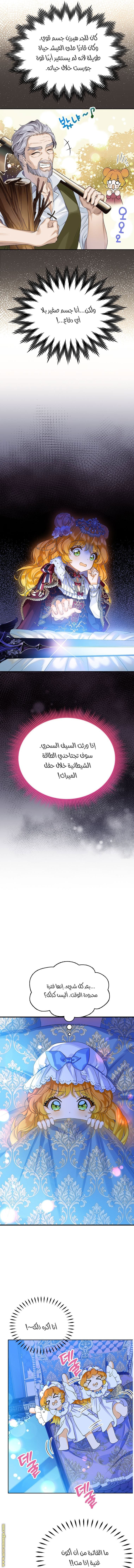الصفحة 8