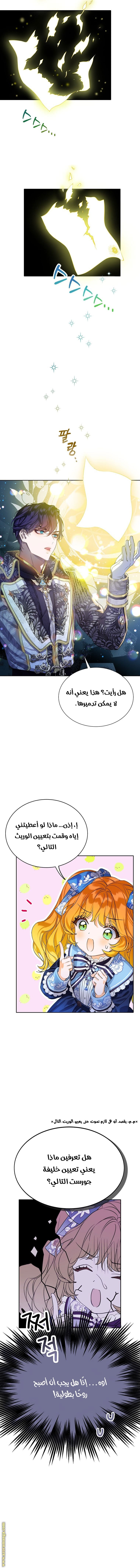 الصفحة 11