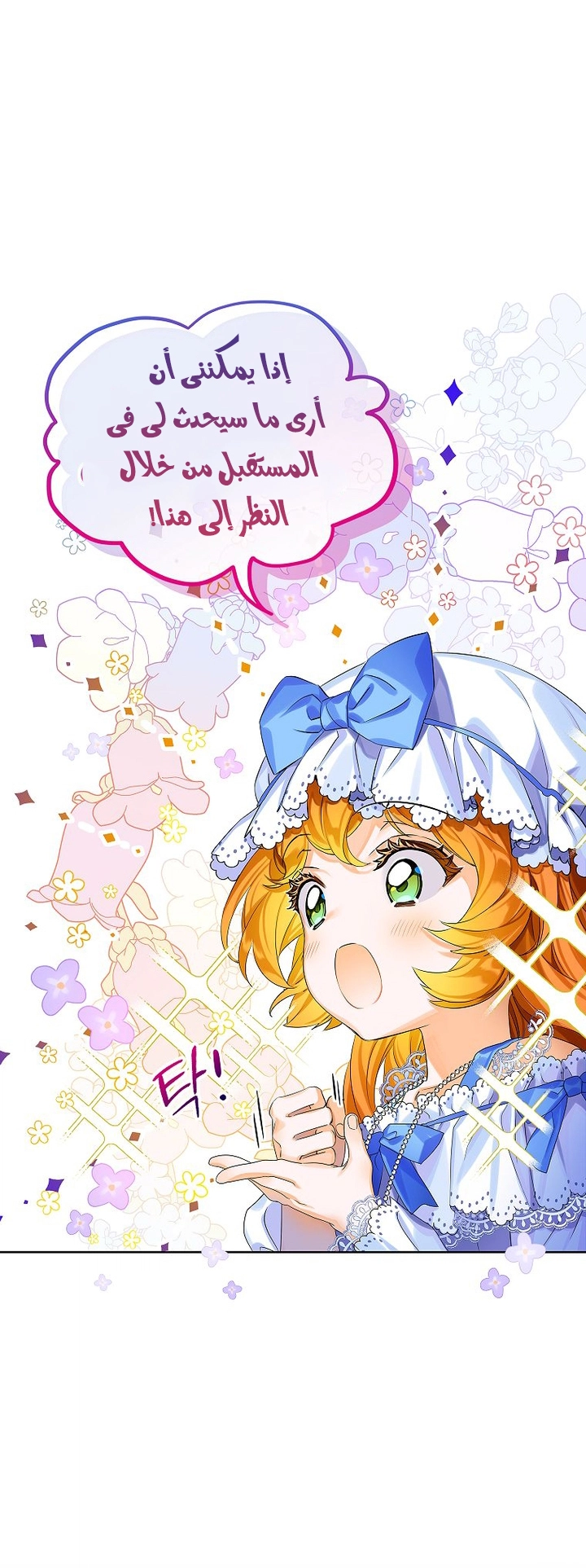 الصفحة 17