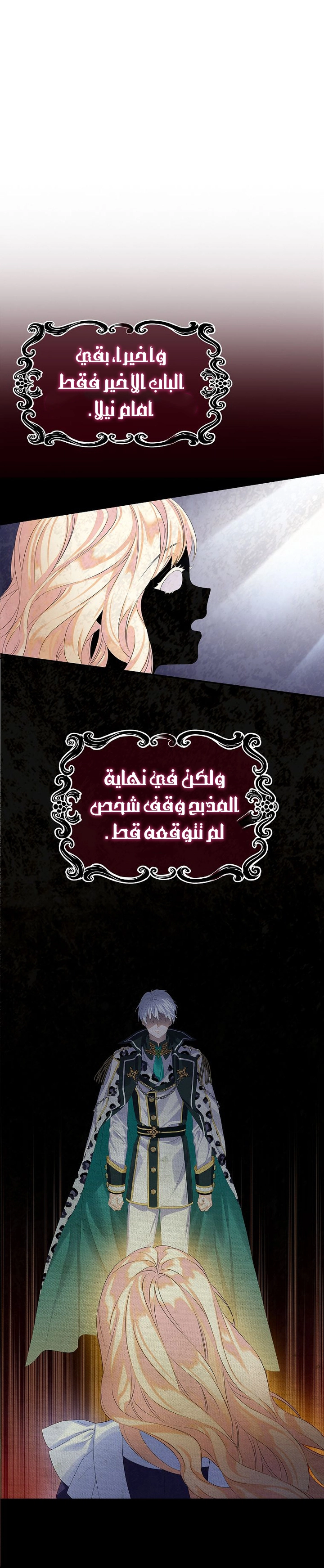 الصفحة 24