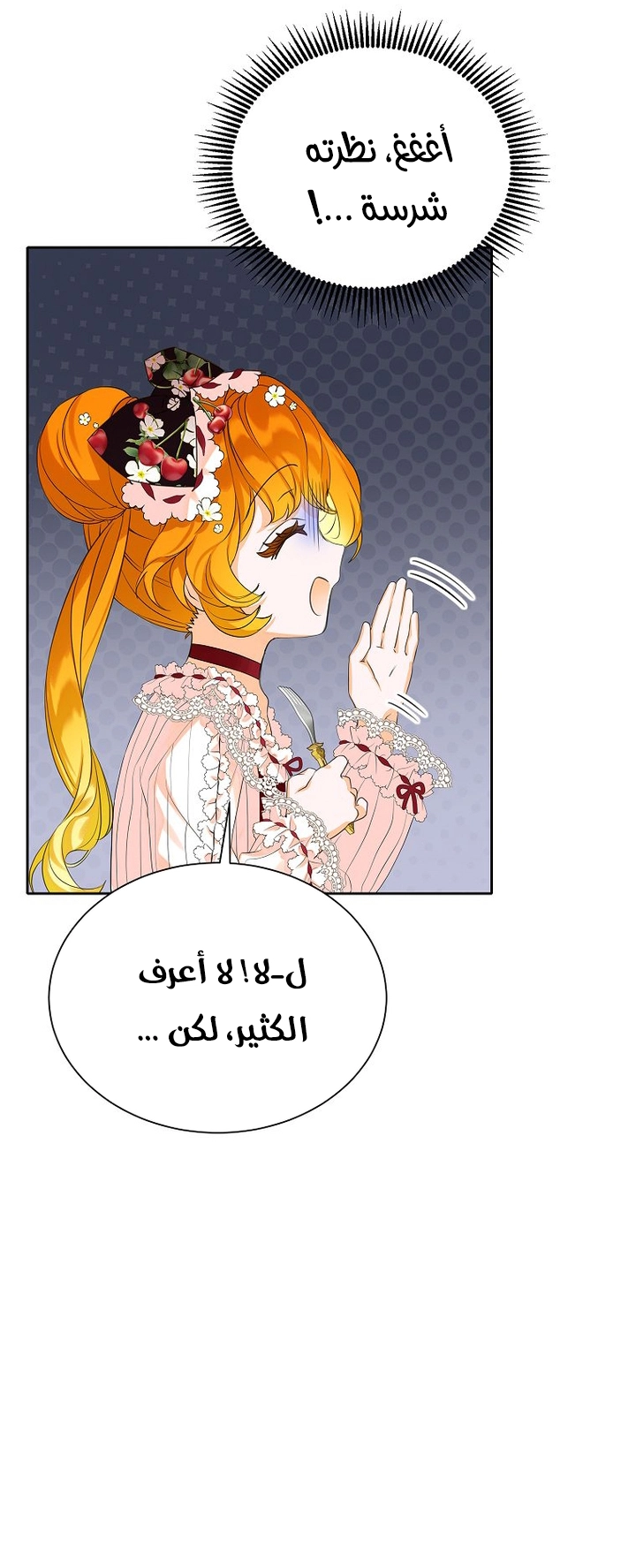 الصفحة 30