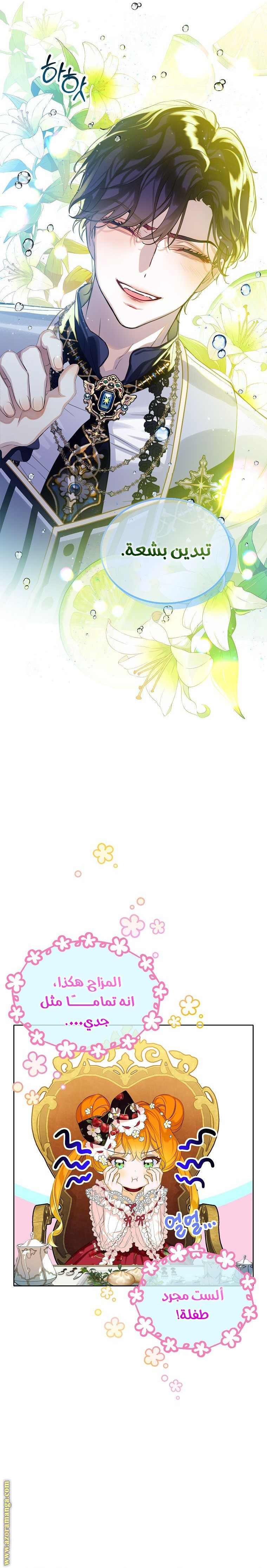 الصفحة 8