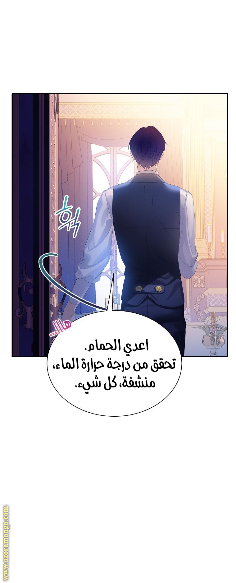 الصفحة 17