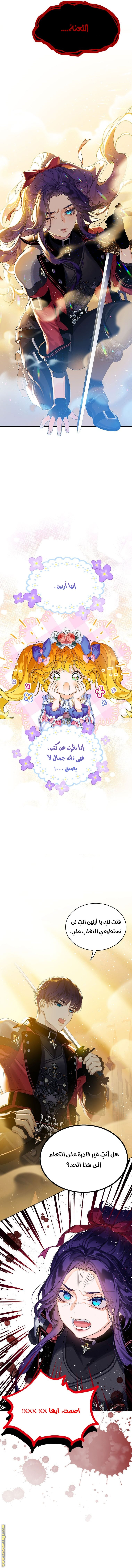 الصفحة 15