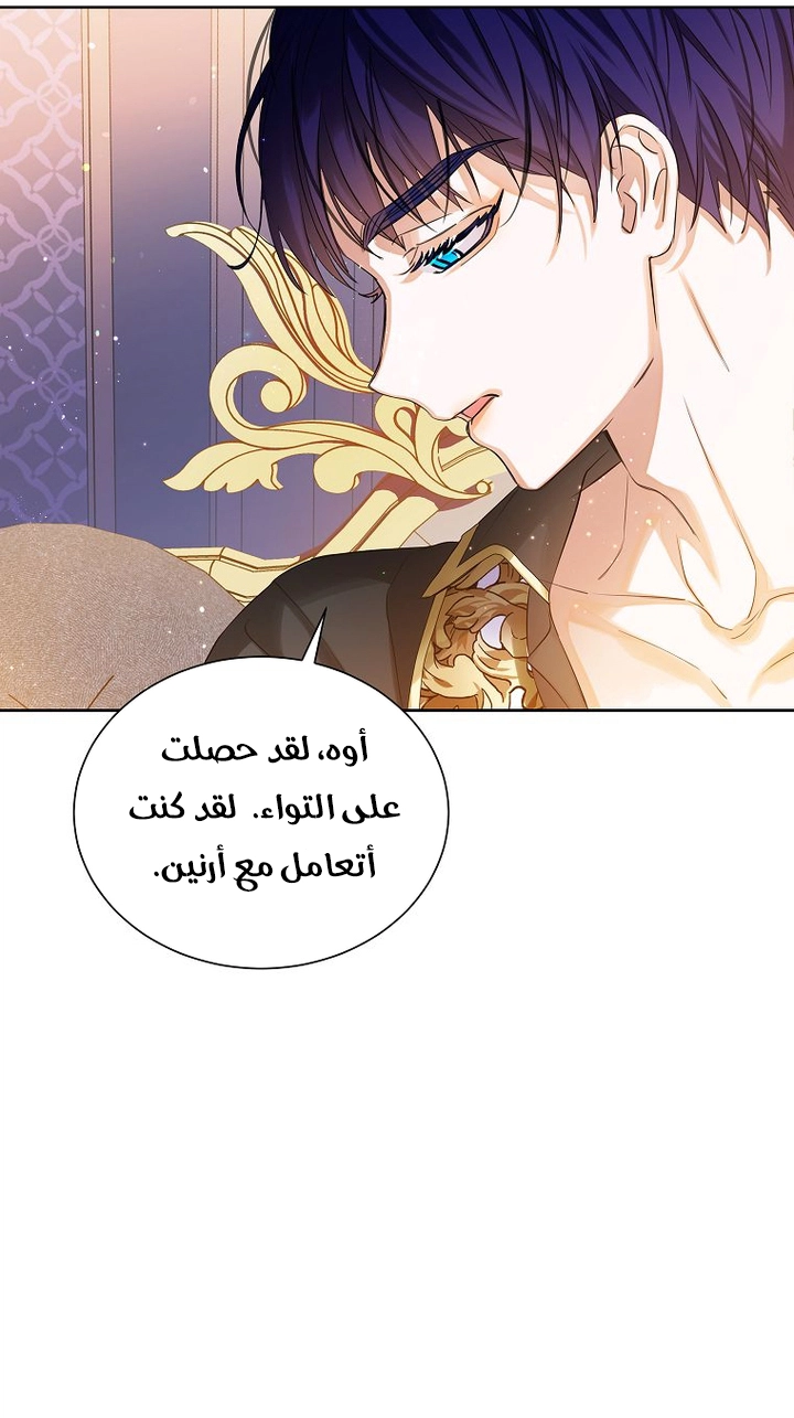 الصفحة 52