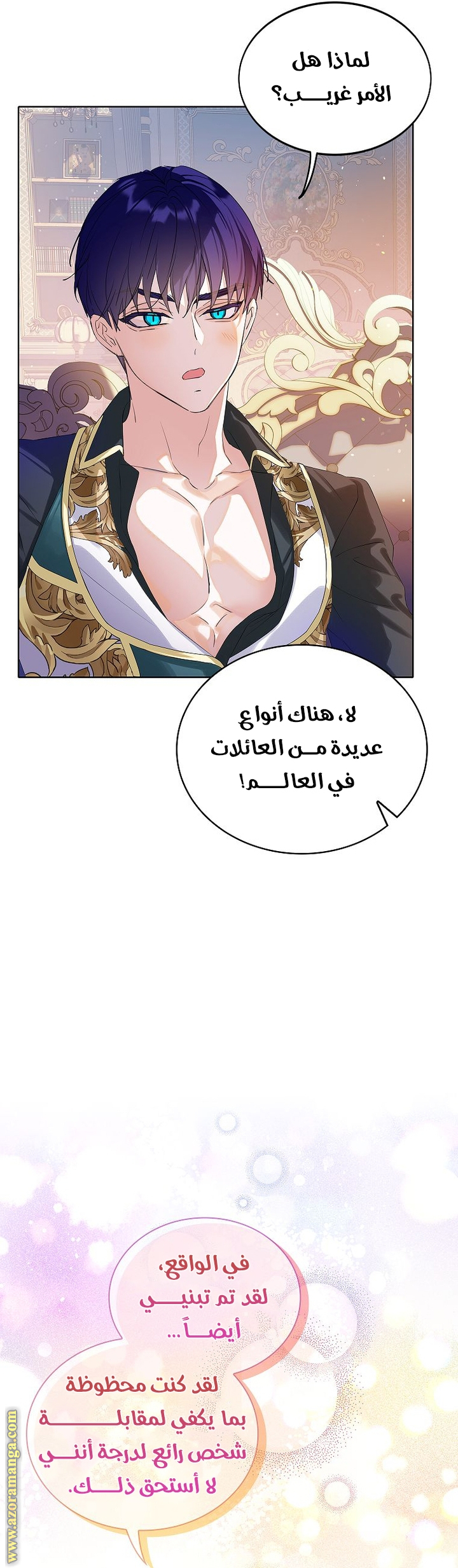 الصفحة 11
