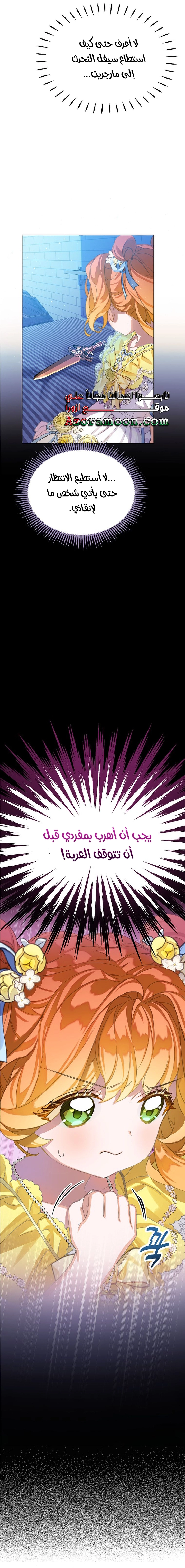 الصفحة 20