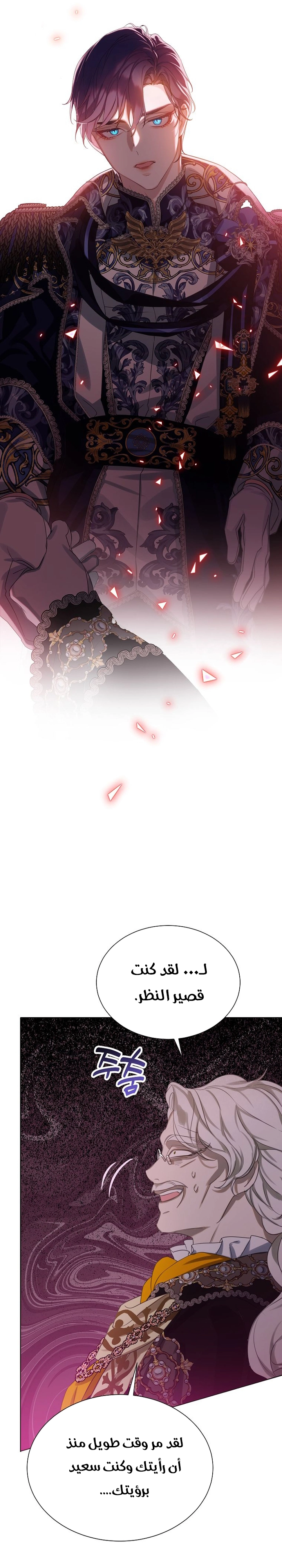 الصفحة 39