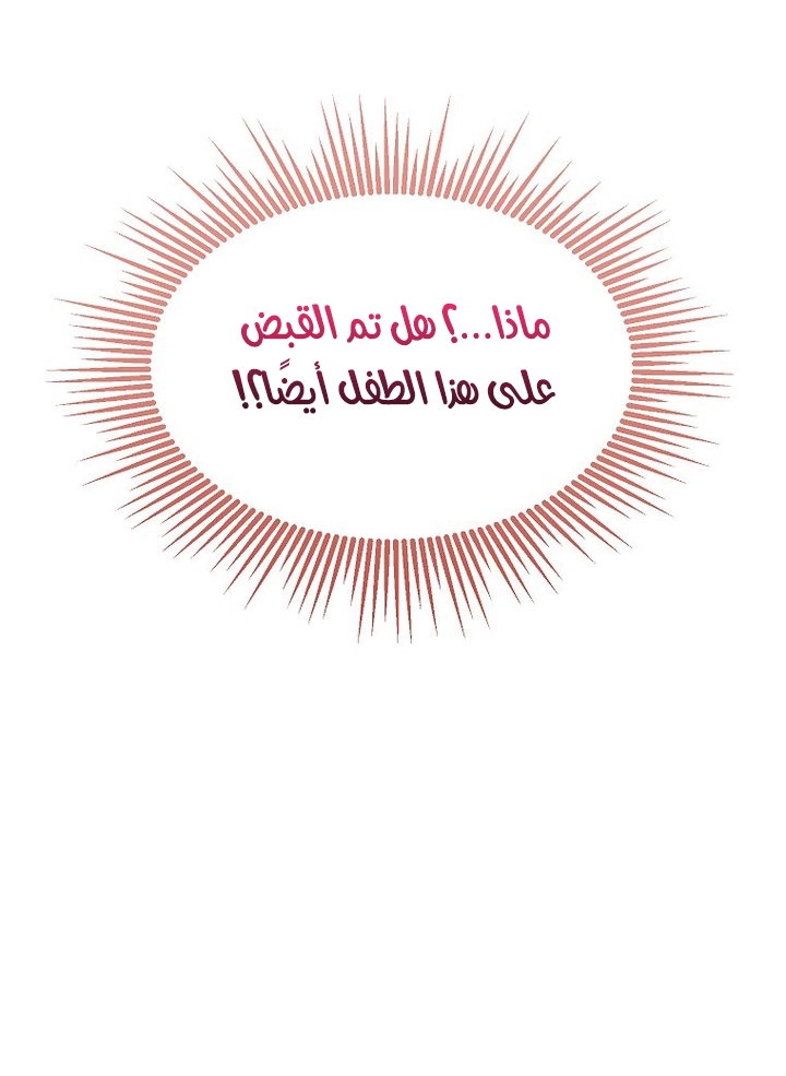 الصفحة 31