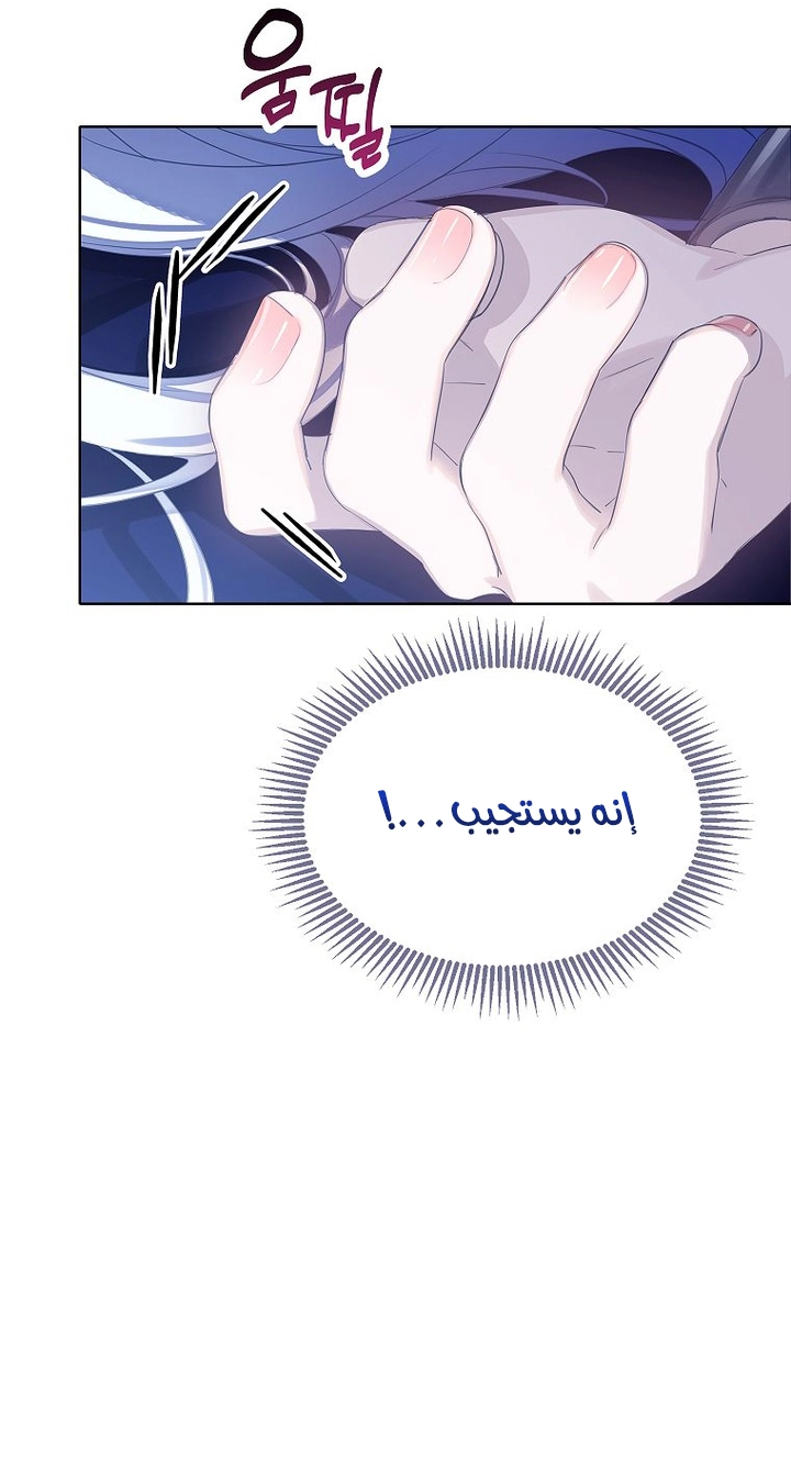 الصفحة 41