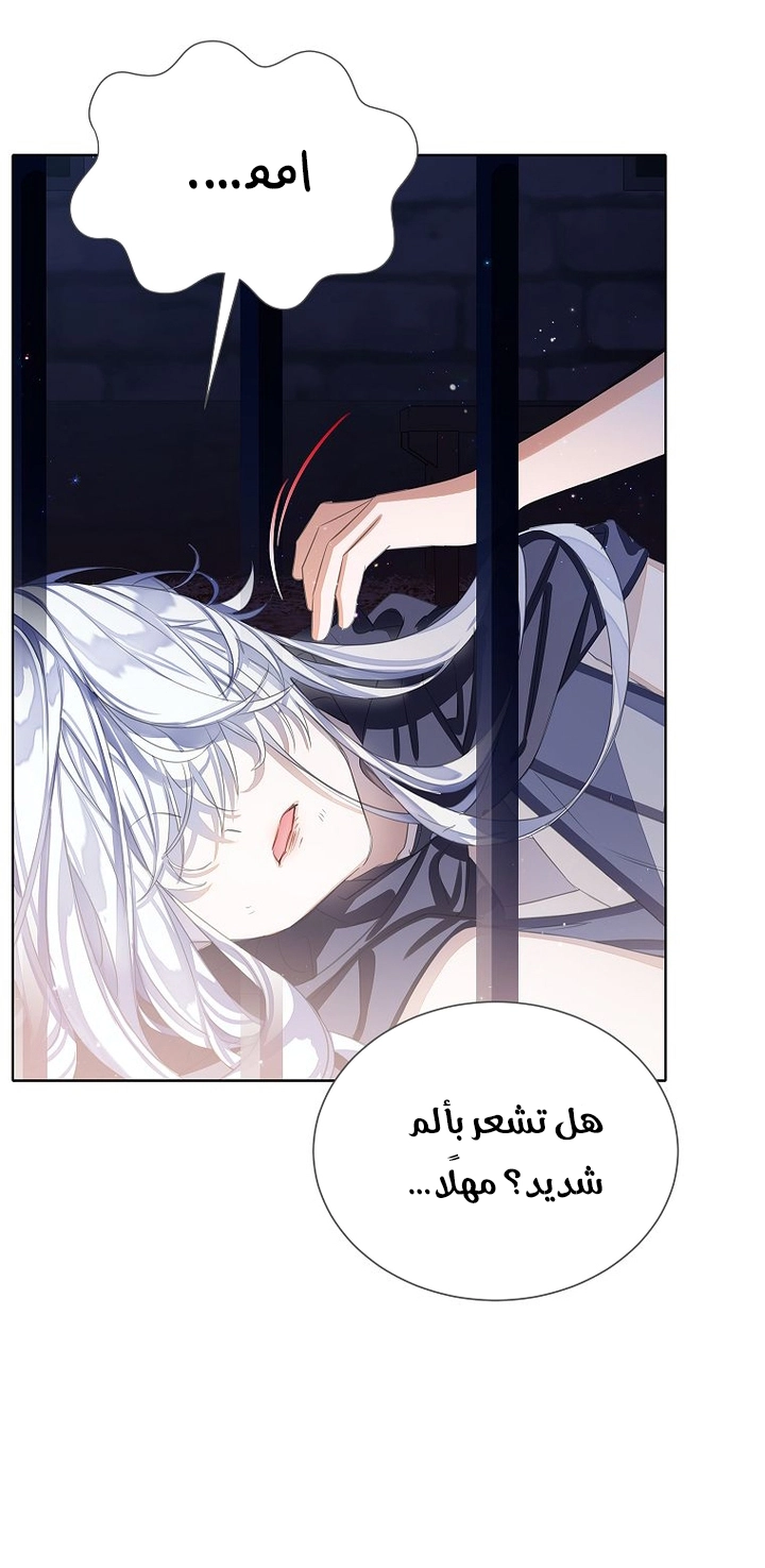 الصفحة 47