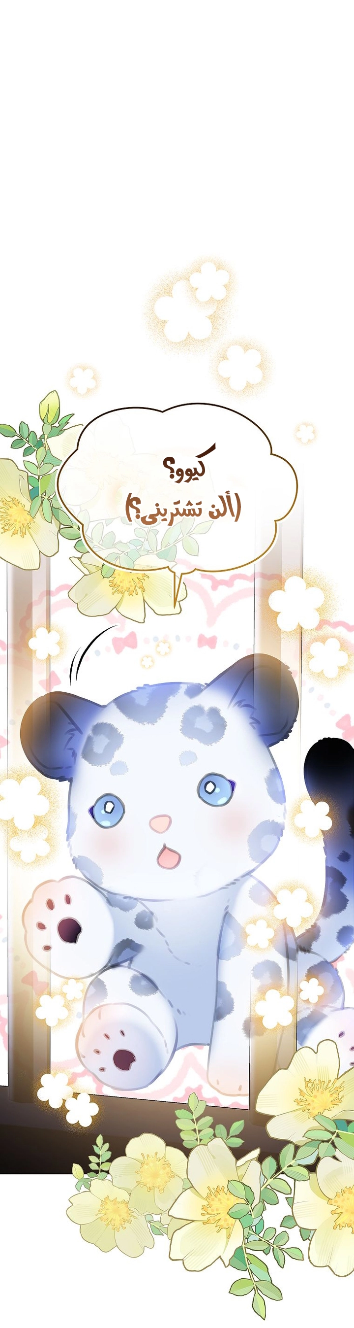 الصفحة 36
