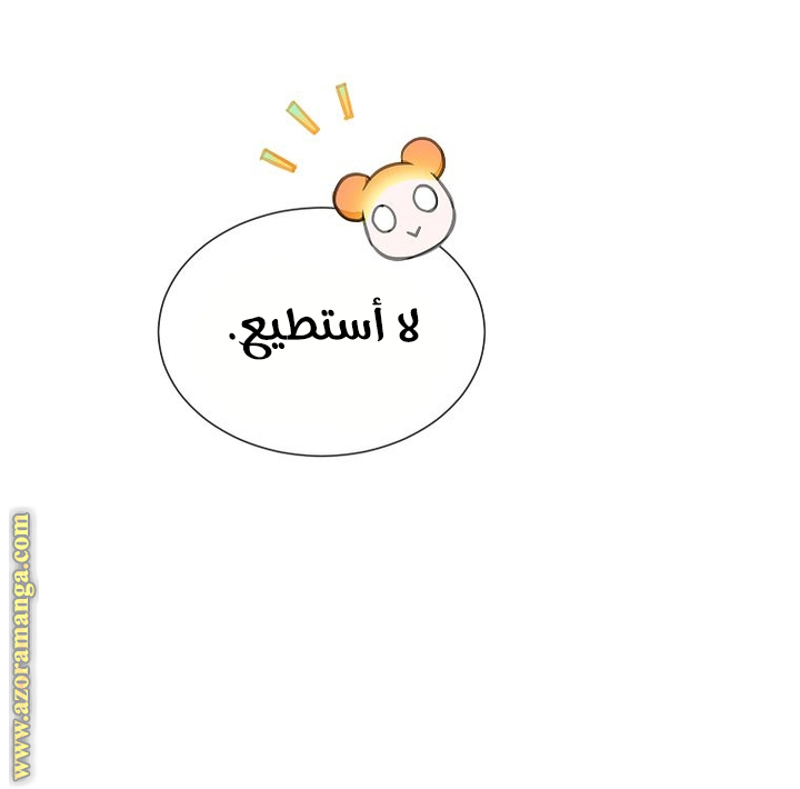 الصفحة 45