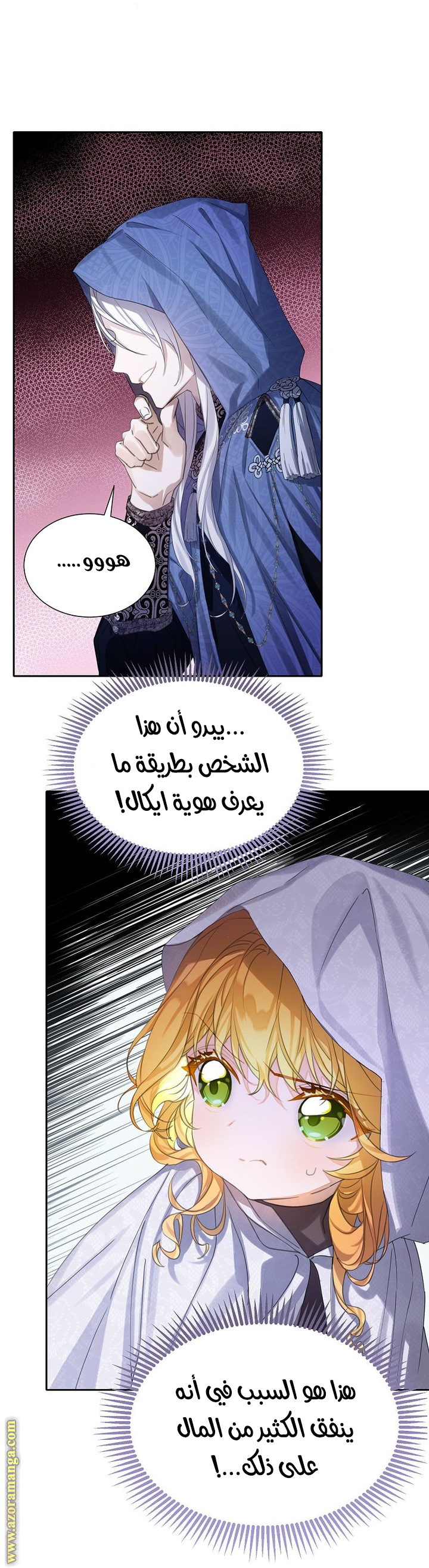 الصفحة 19