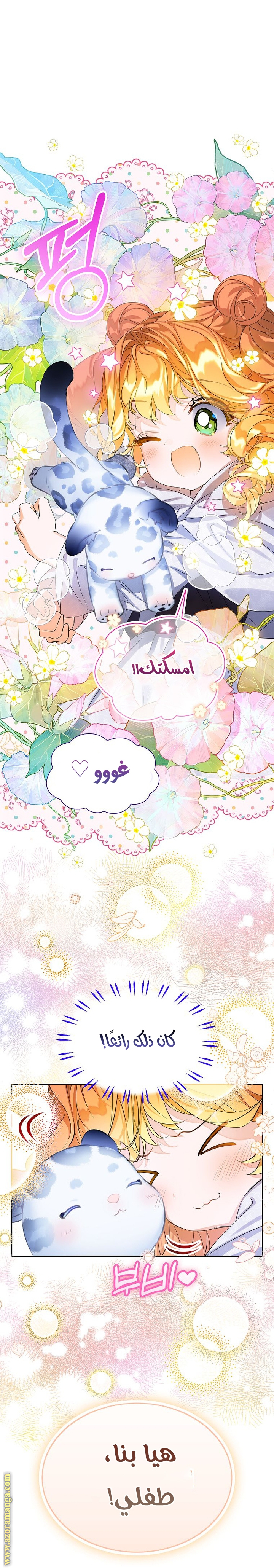الصفحة 43
