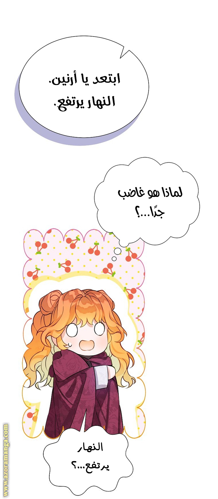 الصفحة 19