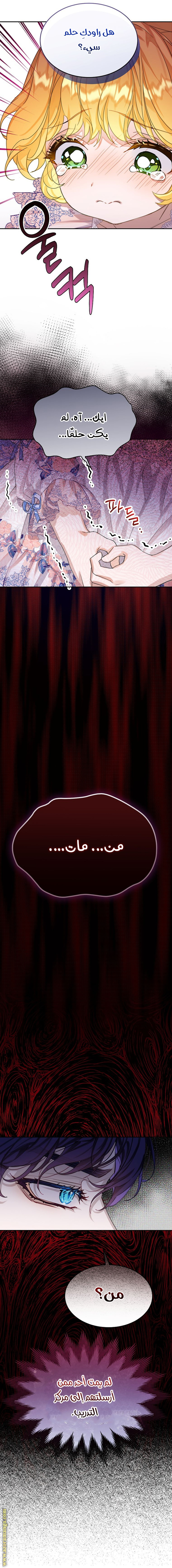 الصفحة 17