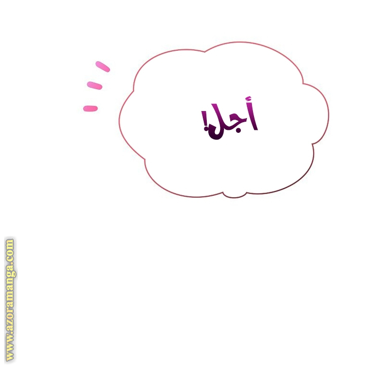 الصفحة 52