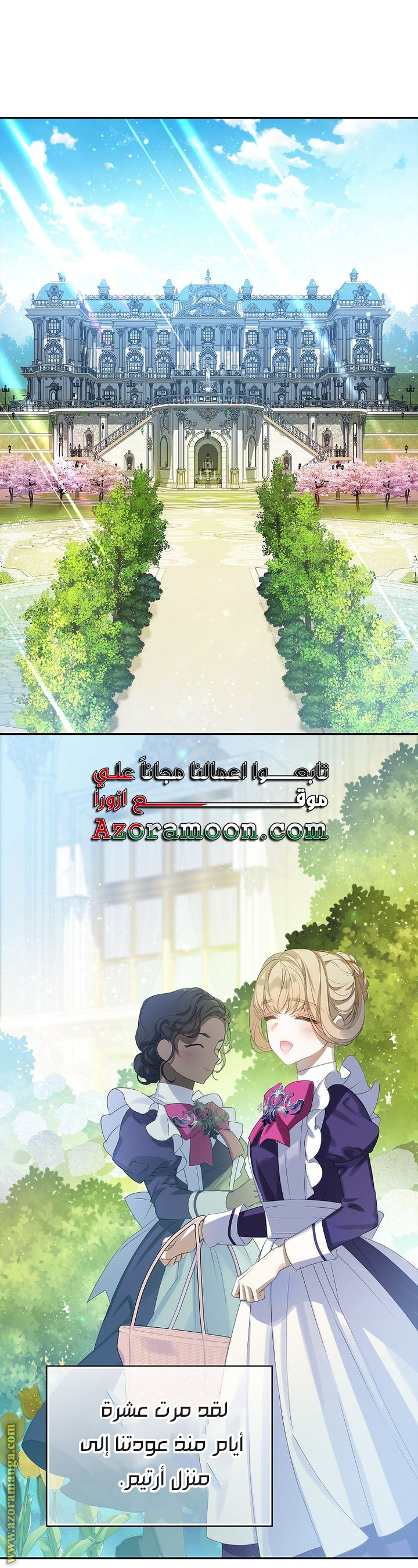 الصفحة 29