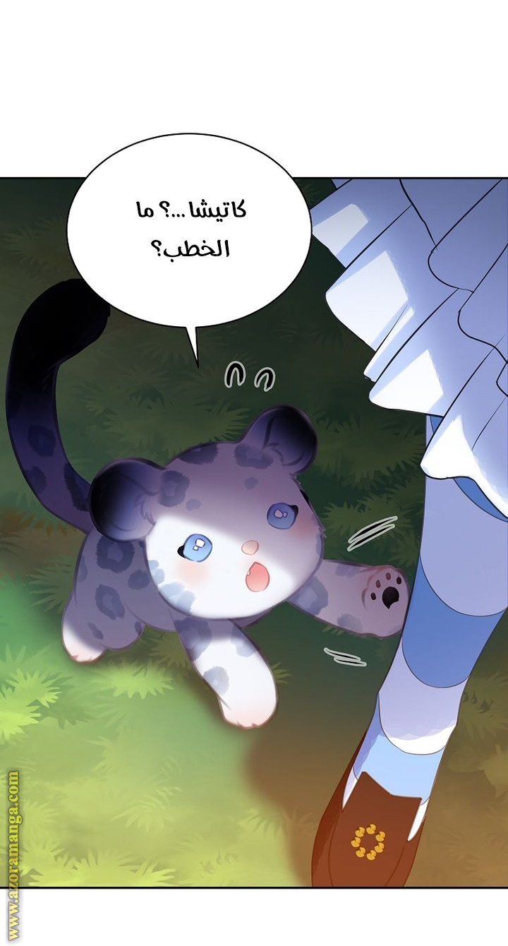 الصفحة 39