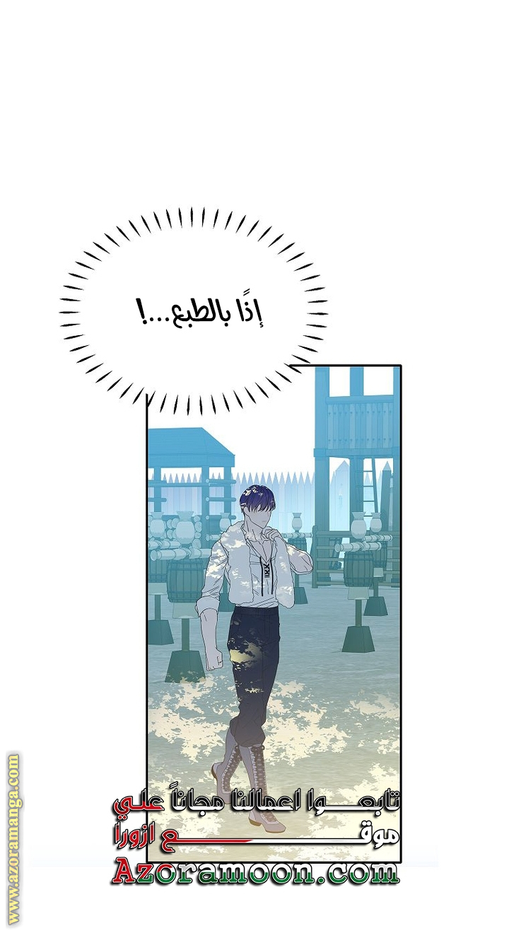 الصفحة 29
