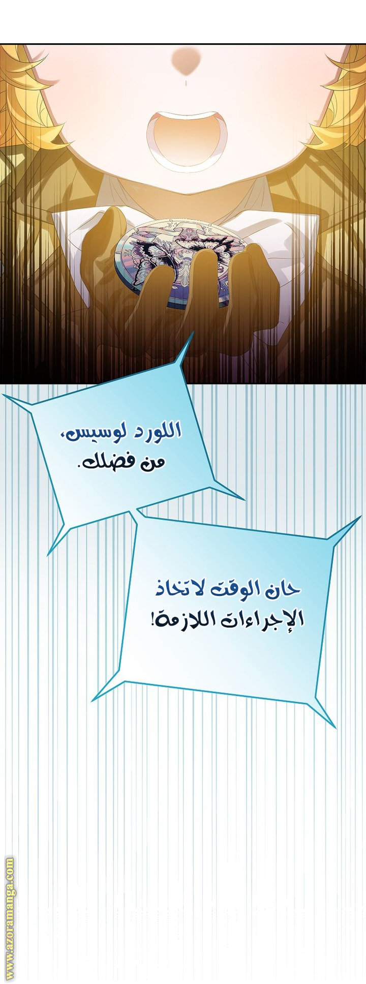 الصفحة 13