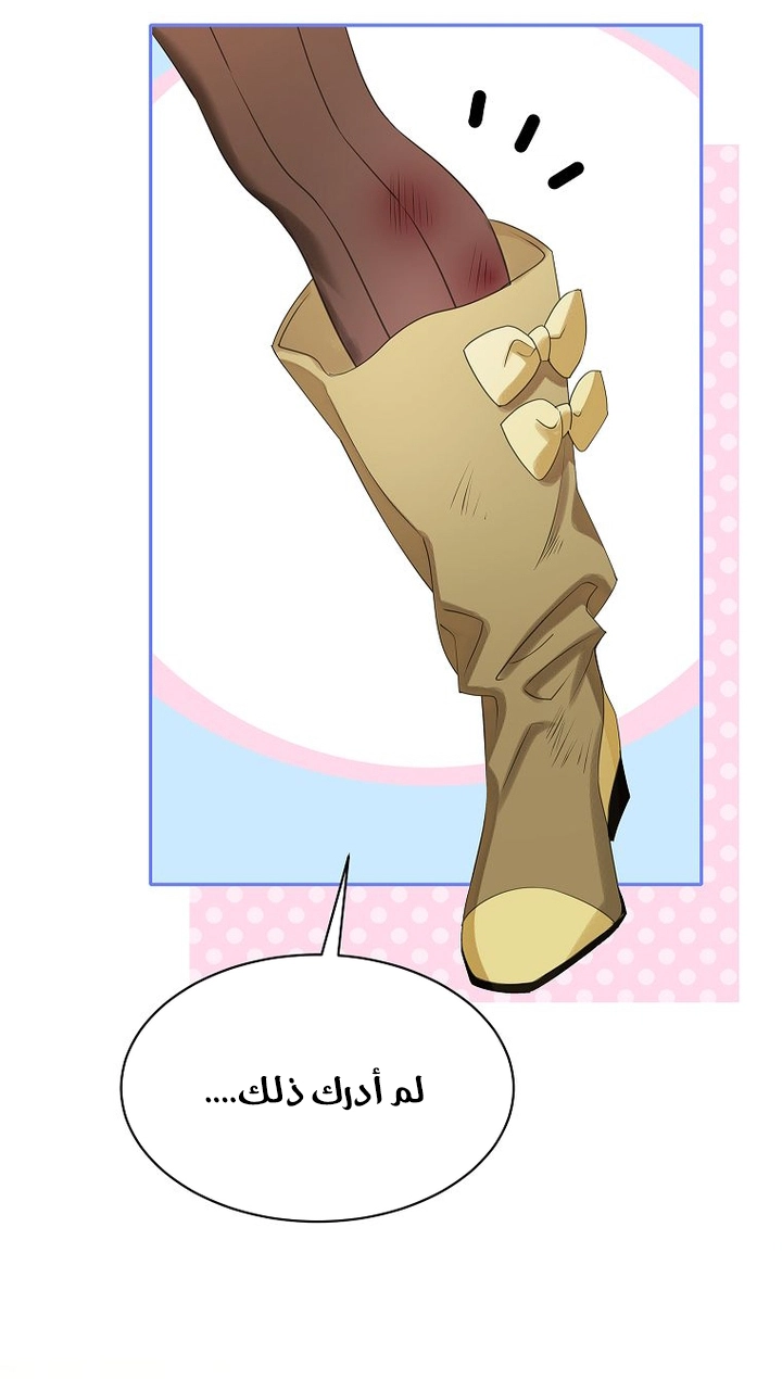 الصفحة 23